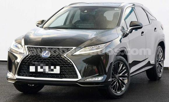 Buy Import Lexus RX Black Car in Bridgetown in Barbados