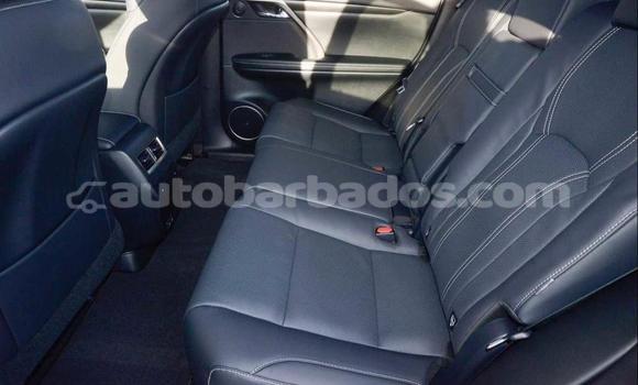 Buy Import Lexus RX Black Car in Bridgetown in Barbados Buy Import Lexus RX Black Car in Bridgetown in Barbados