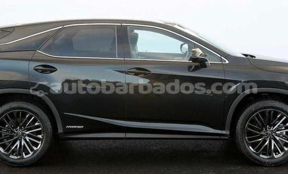 Buy Import Lexus RX Black Car in Bridgetown in Barbados Buy Import Lexus RX Black Car in Bridgetown in Barbados