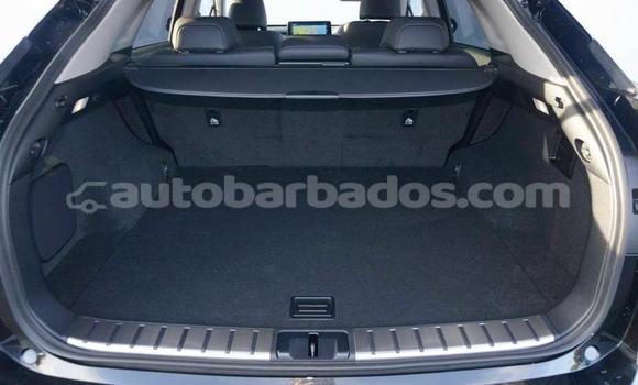Buy Import Lexus RX Black Car in Bridgetown in Barbados Buy Import Lexus RX Black Car in Bridgetown in Barbados