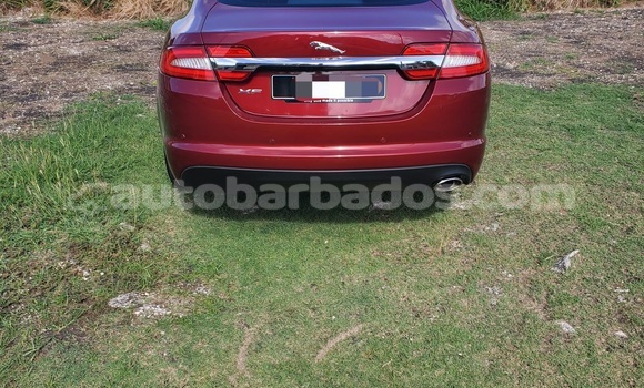 Buy Used Jaguar XF Other Car in Bridgetown in Barbados Buy Used Jaguar XF Other Car in Bridgetown in Barbados