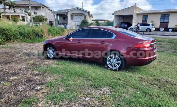 Buy Used Jaguar XF Other Car in Bridgetown in Barbados Buy Used Jaguar XF Other Car in Bridgetown in Barbados