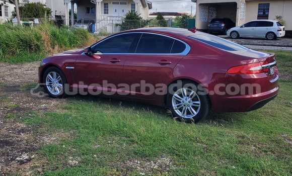 Buy Used Jaguar XF Other Car in Bridgetown in Barbados Buy Used Jaguar XF Other Car in Bridgetown in Barbados