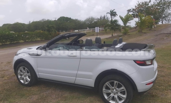 Buy Used Range Rover Evoque White Car in Bridgetown in Barbados Buy Used Range Rover Evoque White Car in Bridgetown in Barbados