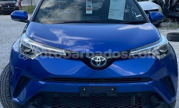 Buy Used Toyota C-HR Other Car in Crab Hill in Barbados Buy Used Toyota C-HR Other Car in Crab Hill in Barbados