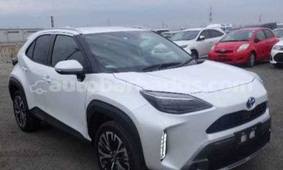 Buy Used Toyota Yaris White Car in Crane in Barbados Buy Used Toyota Yaris White Car in Crane in Barbados