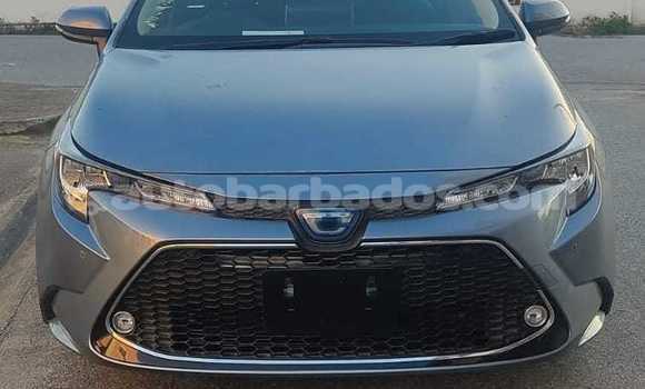 Buy Used Toyota Corolla Other Car in Bridgetown in Barbados Buy Used Toyota Corolla Other Car in Bridgetown in Barbados