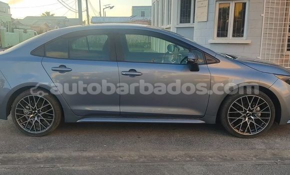 Buy Used Toyota Corolla Other Car in Bridgetown in Barbados Buy Used Toyota Corolla Other Car in Bridgetown in Barbados
