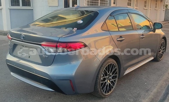 Buy Used Toyota Corolla Other Car in Bridgetown in Barbados Buy Used Toyota Corolla Other Car in Bridgetown in Barbados