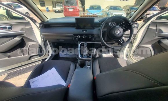 Buy Used Honda Vezel White Car in Greenland in Barbados Buy Used Honda Vezel White Car in Greenland in Barbados