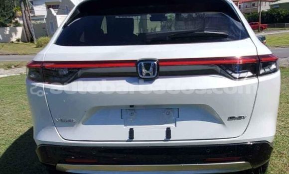 Buy Used Honda Vezel White Car in Greenland in Barbados Buy Used Honda Vezel White Car in Greenland in Barbados