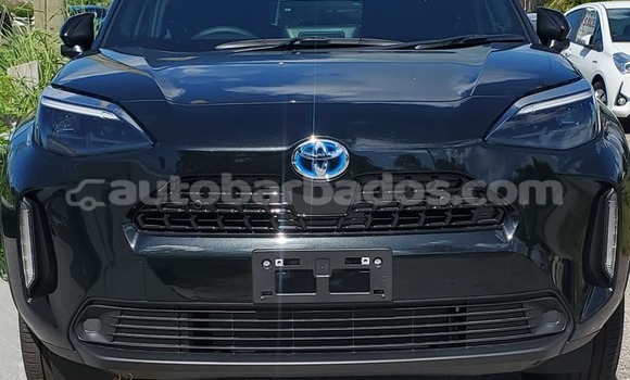 Buy Used Toyota Yaris Black Car in Bridgetown in Barbados Buy Used Toyota Yaris Black Car in Bridgetown in Barbados