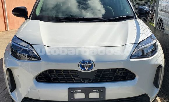 Buy Used Toyota Yaris White Car in Crab Hill in Barbados Buy Used Toyota Yaris White Car in Crab Hill in Barbados