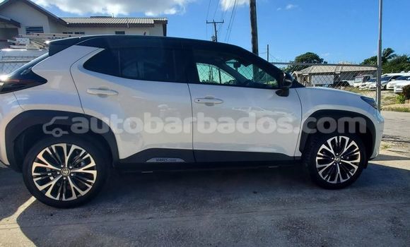 Buy Used Toyota Yaris White Car in Crab Hill in Barbados Buy Used Toyota Yaris White Car in Crab Hill in Barbados
