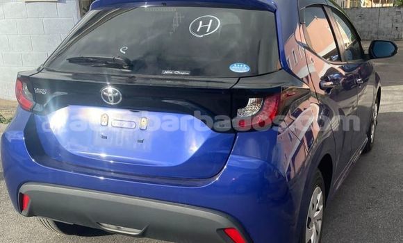 Buy Used Toyota Yaris Blue Car in Bridgetown in Barbados Buy Used Toyota Yaris Blue Car in Bridgetown in Barbados