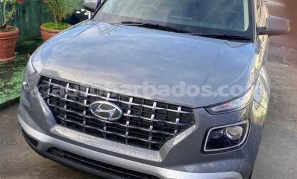 Buy Used Hyundai Avante Other Car in Crab Hill in Barbados Buy Used Hyundai Avante Other Car in Crab Hill in Barbados