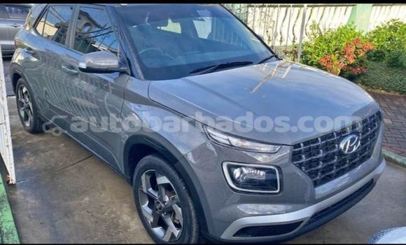 Buy Used Hyundai Avante Other Car in Crab Hill in Barbados Buy Used Hyundai Avante Other Car in Crab Hill in Barbados