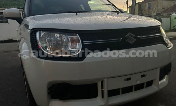 Buy Used Suzuki Ignis White Car in Greenland in Barbados Buy Used Suzuki Ignis White Car in Greenland in Barbados