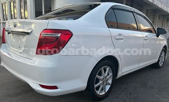 Buy Used Toyota Axio White Car in Bridgetown in Barbados Buy Used Toyota Axio White Car in Bridgetown in Barbados