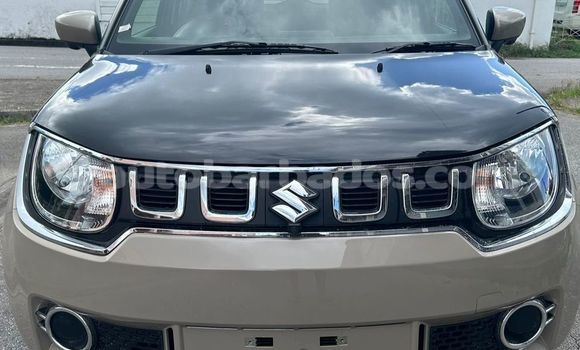 Buy Used Suzuki Ignis Other Car in Bridgetown in Barbados