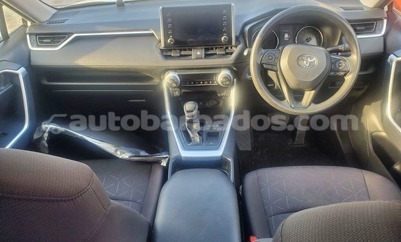 Buy Used Toyota RAV4 Other Car in Bridgetown in Barbados Buy Used Toyota RAV4 Other Car in Bridgetown in Barbados