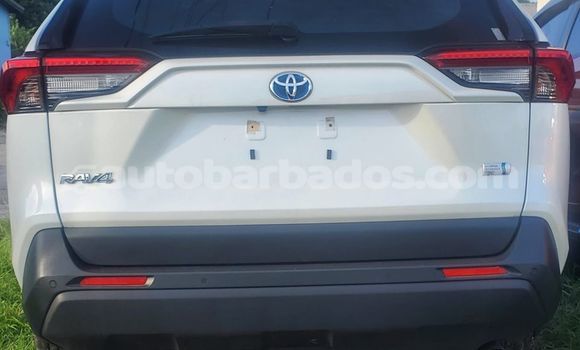 Buy Used Toyota RAV4 Other Car in Bridgetown in Barbados Buy Used Toyota RAV4 Other Car in Bridgetown in Barbados
