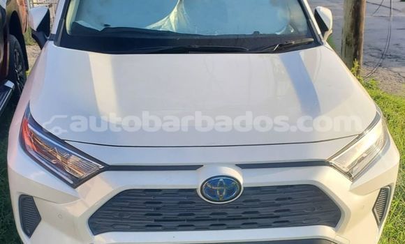 Buy Used Toyota RAV4 Other Car in Bridgetown in Barbados Buy Used Toyota RAV4 Other Car in Bridgetown in Barbados