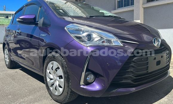 Buy Used Toyota Corolla Blue Car in Bridgetown in Barbados Buy Used Toyota Corolla Blue Car in Bridgetown in Barbados