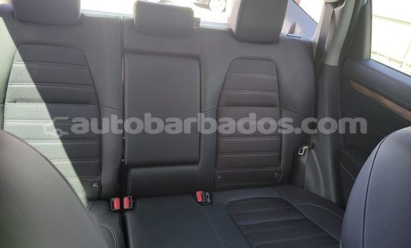 Buy Used Honda Accord Other Car in Bridgetown in Barbados