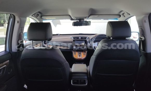 Buy Used Honda Accord Other Car in Bridgetown in Barbados Buy Used Honda Accord Other Car in Bridgetown in Barbados