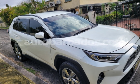 Buy Used Toyota RAV4 White Car in Bridgetown in Barbados Buy Used Toyota RAV4 White Car in Bridgetown in Barbados