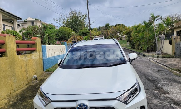 Buy Used Toyota RAV4 White Car in Bridgetown in Barbados Buy Used Toyota RAV4 White Car in Bridgetown in Barbados