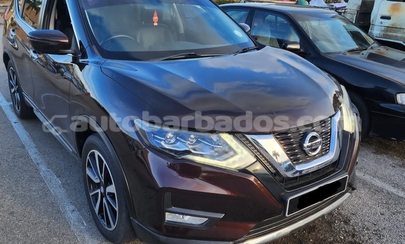 Buy Used Nissan X–Trail Brown Car in Bridgetown in Barbados Buy Used Nissan X–Trail Brown Car in Bridgetown in Barbados