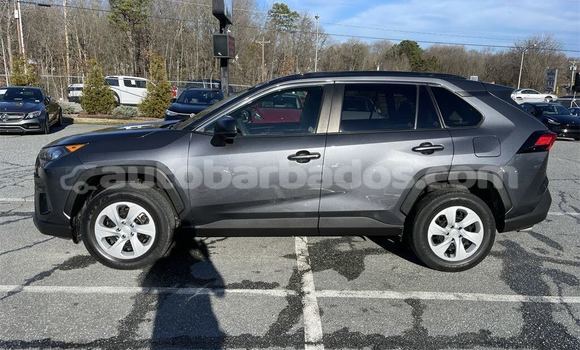 Buy Used Toyota RAV4 Blue Car in Bridgetown in Barbados Buy Used Toyota RAV4 Blue Car in Bridgetown in Barbados