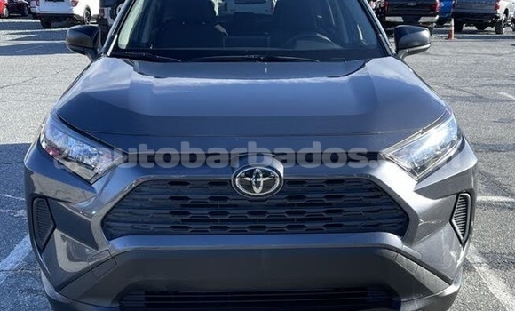 Buy Used Toyota RAV4 Blue Car in Bridgetown in Barbados Buy Used Toyota RAV4 Blue Car in Bridgetown in Barbados