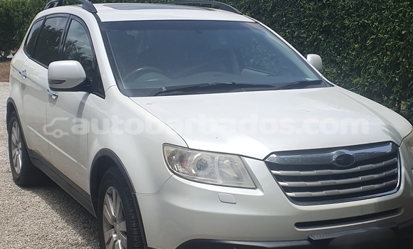 Buy Used Subaru Tribeca White Car in Bridgetown in Barbados