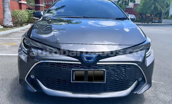 Buy Used Toyota Corolla Other Car in Bridgetown in Barbados