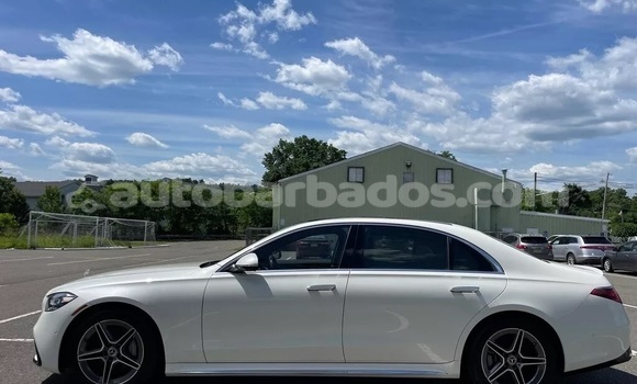 Buy Used Mercedes-Benz S–Class White Car in Bathsheba in Barbados Buy Used Mercedes-Benz S–Class White Car in Bathsheba in Barbados