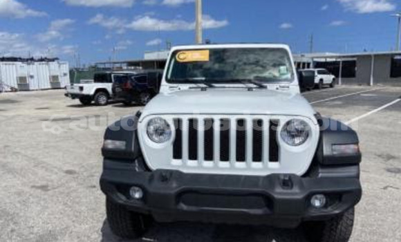 Buy Used Jeep Wrangler White Car in Bathsheba in Barbados
