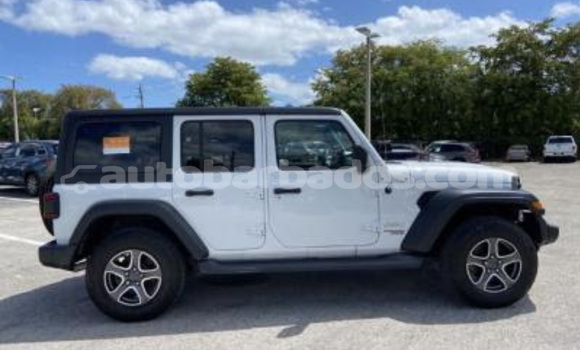 Buy Used Jeep Wrangler White Car in Bathsheba in Barbados Buy Used Jeep Wrangler White Car in Bathsheba in Barbados