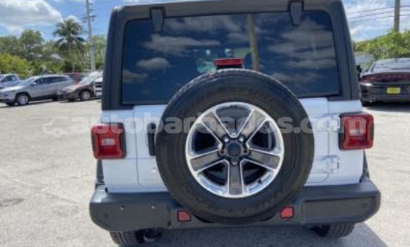 Buy Used Jeep Wrangler White Car in Bathsheba in Barbados Buy Used Jeep Wrangler White Car in Bathsheba in Barbados