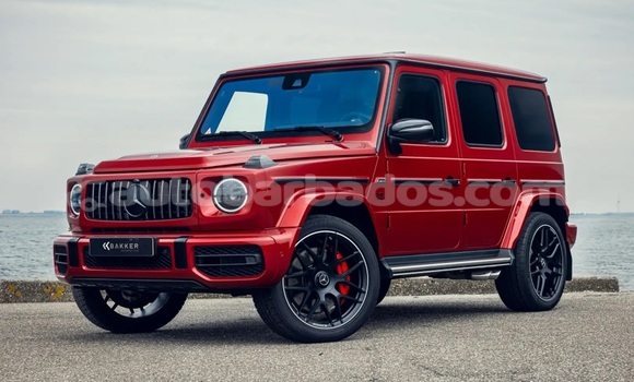 Merc 1992 Mercedes-Benz 250GD Wolf 5-Speed for sale on BaT
