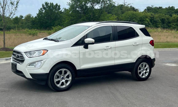 Buy Used Ford EcoSport White Car in Bridgetown in Barbados Buy Used Ford EcoSport White Car in Bridgetown in Barbados