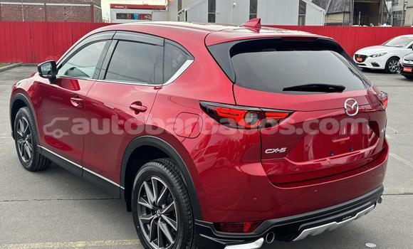 Buy Used Mazda CX-5 Red Car in Bridgetown in Barbados Buy Used Mazda CX-5 Red Car in Bridgetown in Barbados