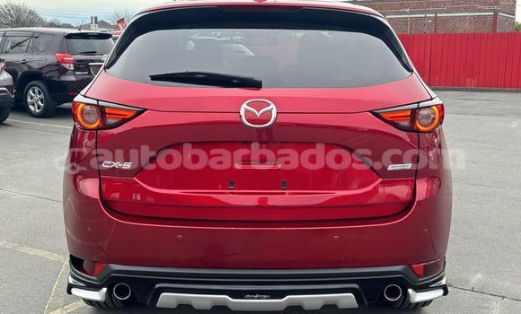 Buy Used Mazda CX-5 Red Car in Bridgetown in Barbados Buy Used Mazda CX-5 Red Car in Bridgetown in Barbados