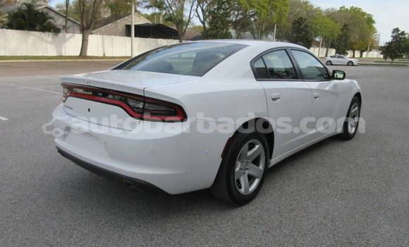 Buy Used Dodge Charger White Car in Bridgetown in Barbados Buy Used Dodge Charger White Car in Bridgetown in Barbados