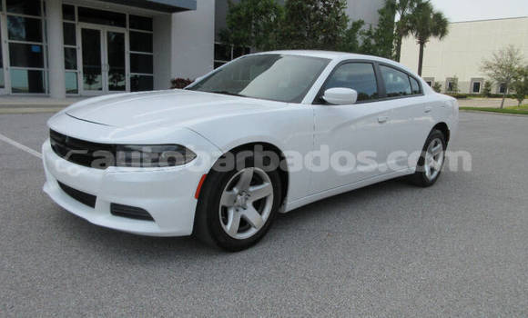 Buy Used Dodge Charger White Car in Bridgetown in Barbados Buy Used Dodge Charger White Car in Bridgetown in Barbados