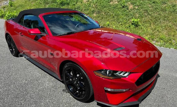 Buy Used Ford Mustang Red Car in Bridgetown in Barbados Buy Used Ford Mustang Red Car in Bridgetown in Barbados