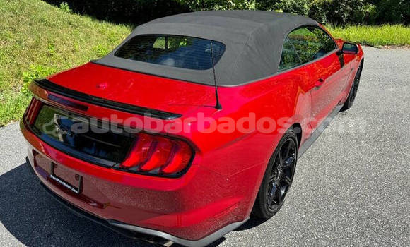 Buy Used Ford Mustang Red Car in Bridgetown in Barbados Buy Used Ford Mustang Red Car in Bridgetown in Barbados