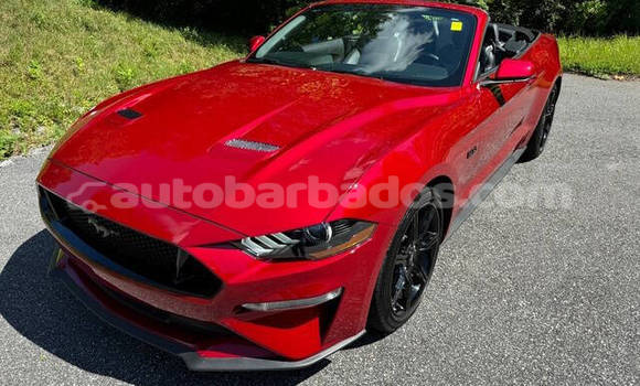 Buy Used Ford Mustang Red Car in Bridgetown in Barbados Buy Used Ford Mustang Red Car in Bridgetown in Barbados
